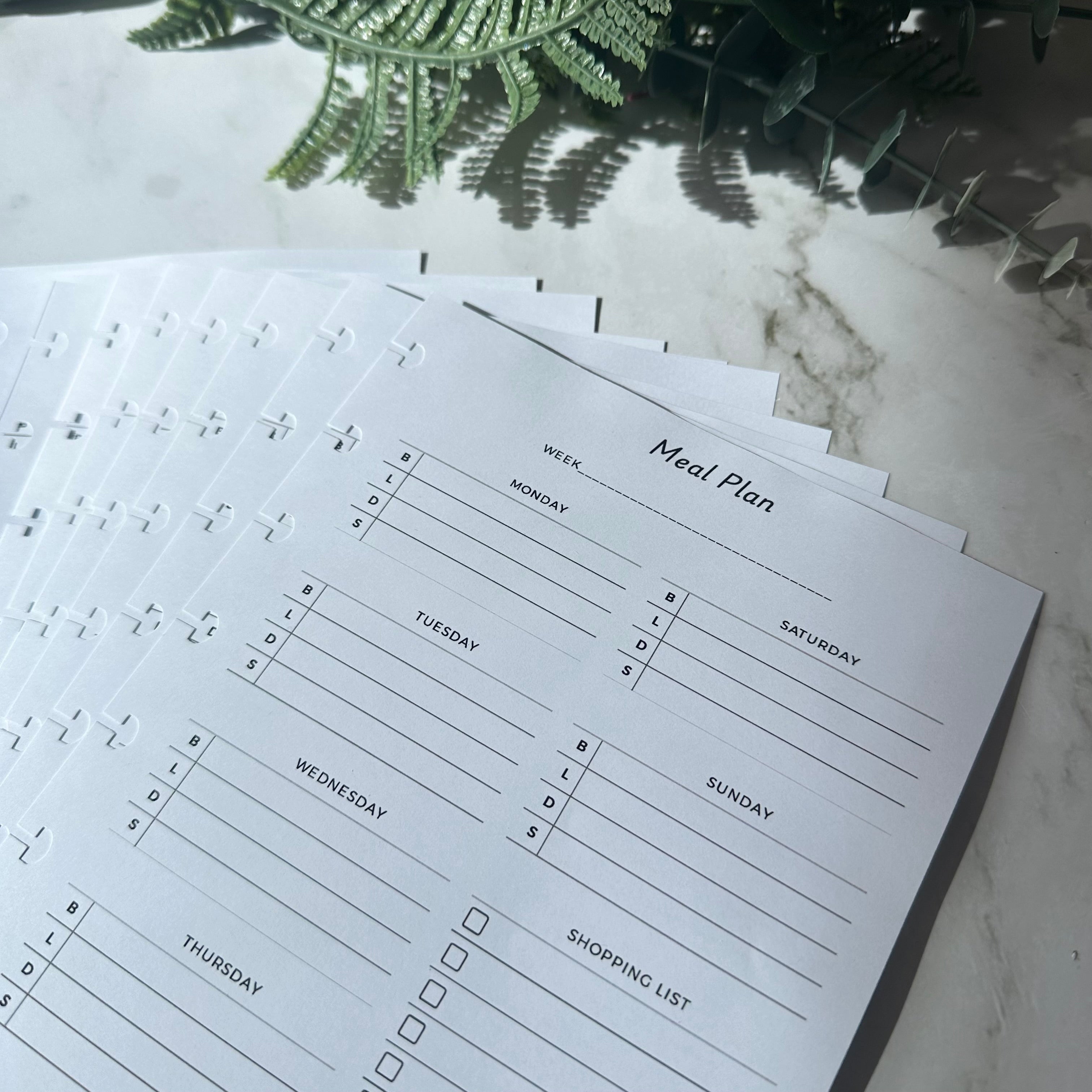 Week Packing Planner Weekly Meal Planner Insert - A5 Discbound (12 week pack) – Preppamint